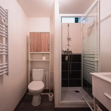 Le Saint-loup - T2 Dans Le Coeur Historique De Apartment Troyes