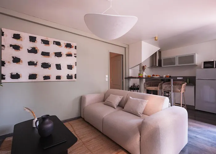 Le Saint-loup - T2 Dans Le Coeur Historique De Apartment Troyes