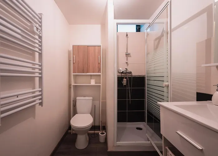 Le Saint-loup - T2 Dans Le Coeur Historique De Apartment Troyes